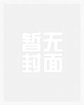 精灵之冢装备兑换表